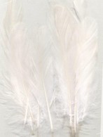 Feathers Pure White 15 PC - #86355